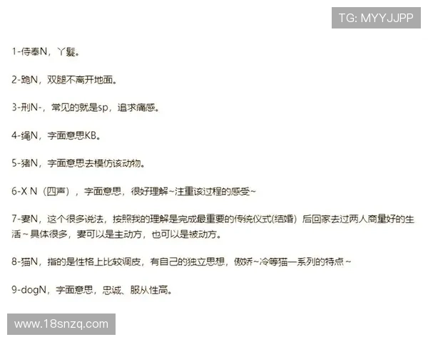 K1体育官网：新手必知的投注规则与术语